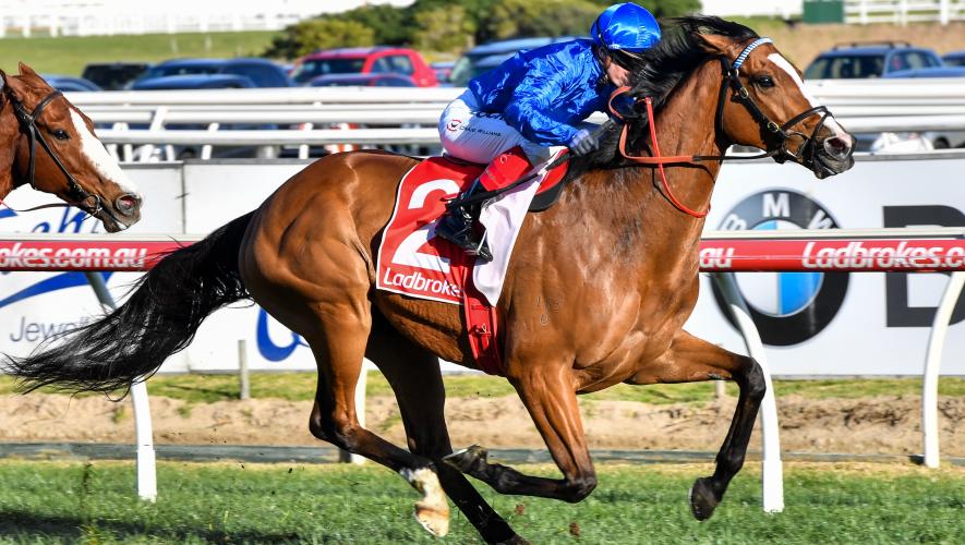 Hartnell ready for his third Melbourne Cup | Godolphin