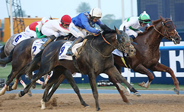 Maftool takes second in the G2 UAE Derby