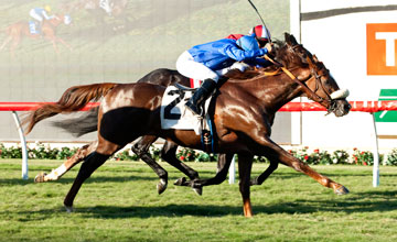 Crittenden wins the Listed Let It Ride Stakes at Del Mar