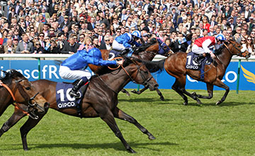 Jungle Cat finished second in the Group 3 Pearl Bloodstock Palace House Stakes