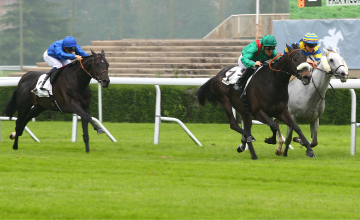 Manatee finishes third in the Prix Vicomtesse Vigier