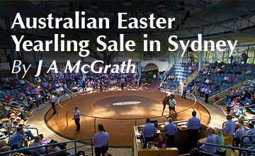 Australian Easter Sale in Sydney
