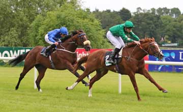 Portage-2nd-G3MeldStakes-Leopardstown-140716-PMooney-02-(1)-A