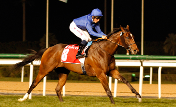 TRYSTER wins at Meydan