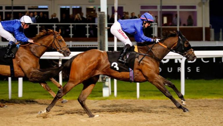 Arabian Hope heads Godolphin’s Turkish challenge on Saturday | Godolphin