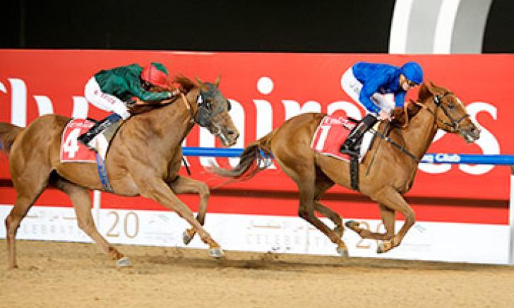 African Story leads home Prince Bishop at Meydan
