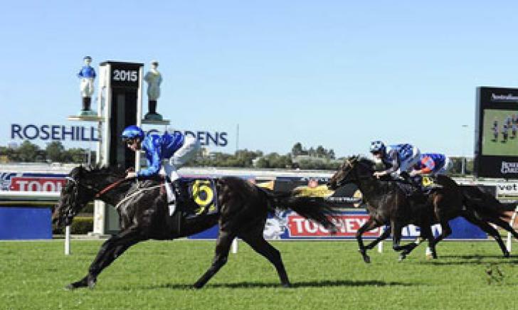 Mogador hits the line first at Rosehill Gardens
