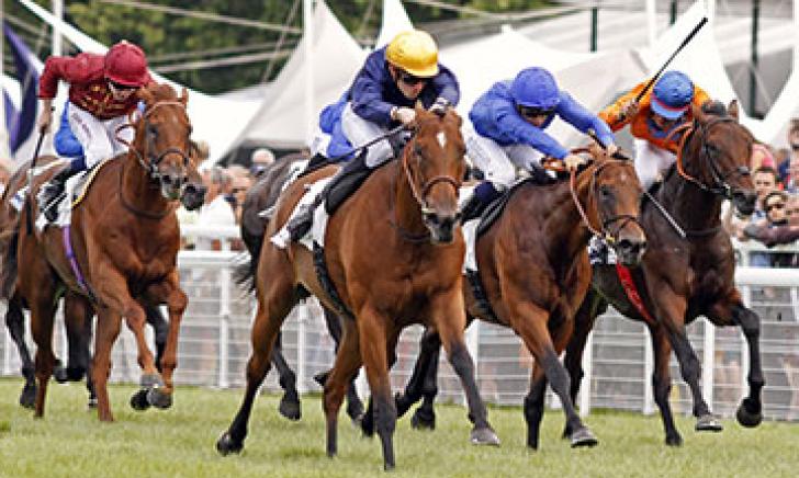 Territories finishes second in the Prix Jacques Le Marois