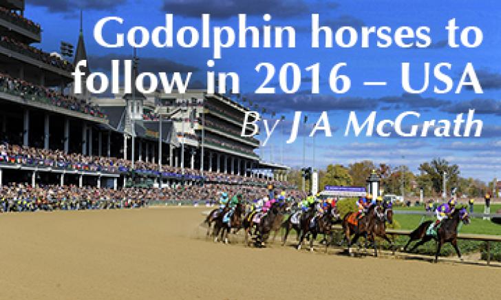 Horses to Follow in 2016 - USA