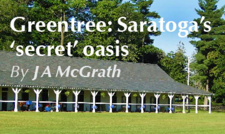 Greentree: Saratoga's Secret Oasis